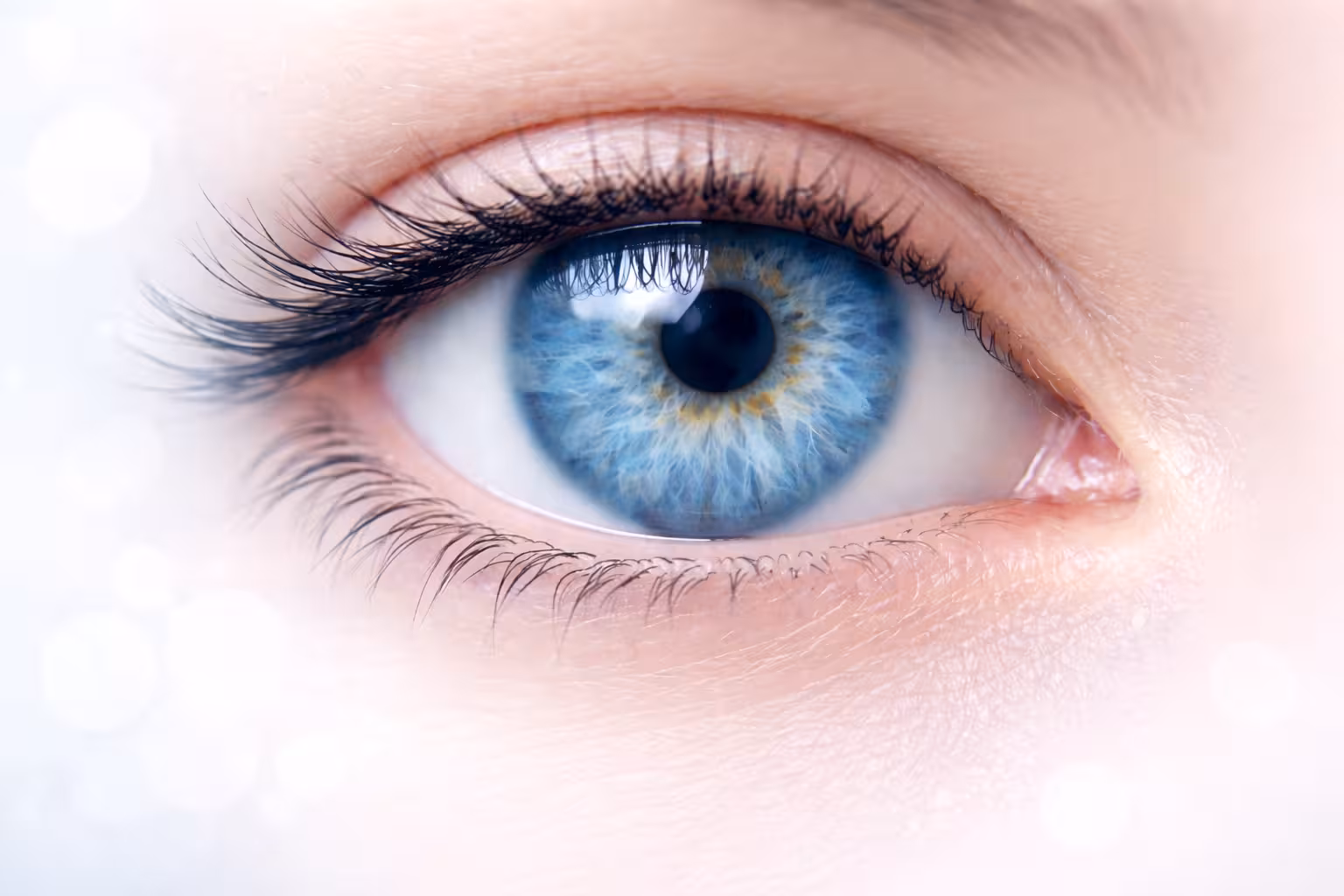 Équipement moderne d'ophtalmologie